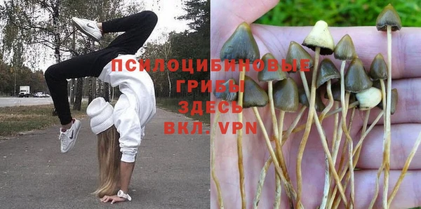 альфа пвп Армянск